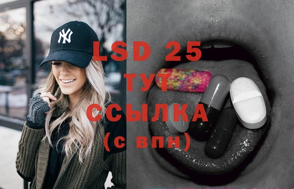 ПСИЛОЦИБИНОВЫЕ ГРИБЫ Аркадак