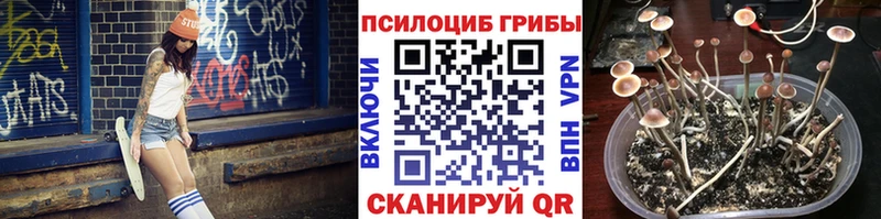 кракен как войти  Поронайск  Галлюциногенные грибы прущие грибы 